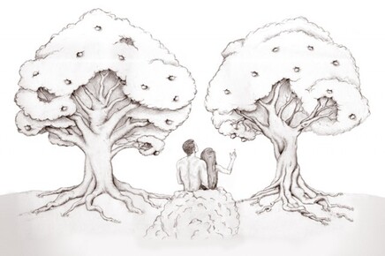 La scelta più importante