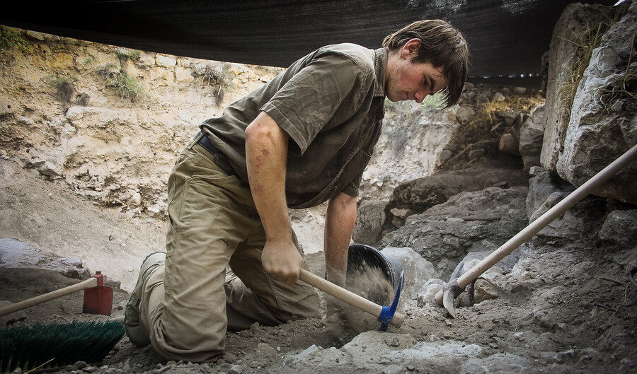 Un tirocinio di una dolce estate