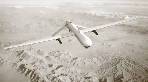 «Il potere rivendicato dai re e dai tiranni»